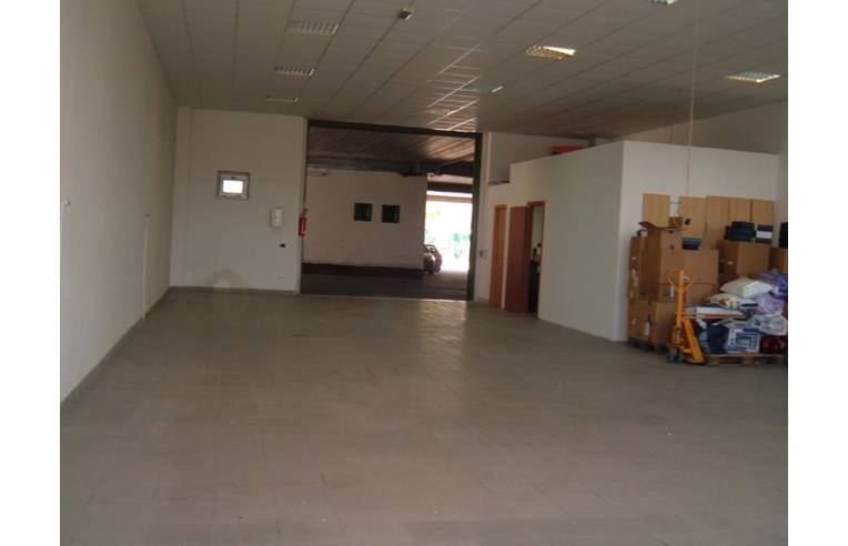 locale commerciale in affitto a Campobasso in zona Colle delle Api