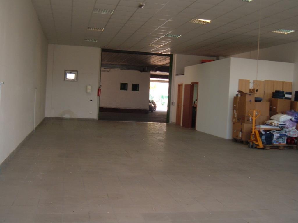 locale commerciale in affitto a Campobasso in zona Colle delle Api