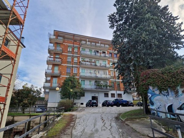 appartamento in affitto a Campobasso