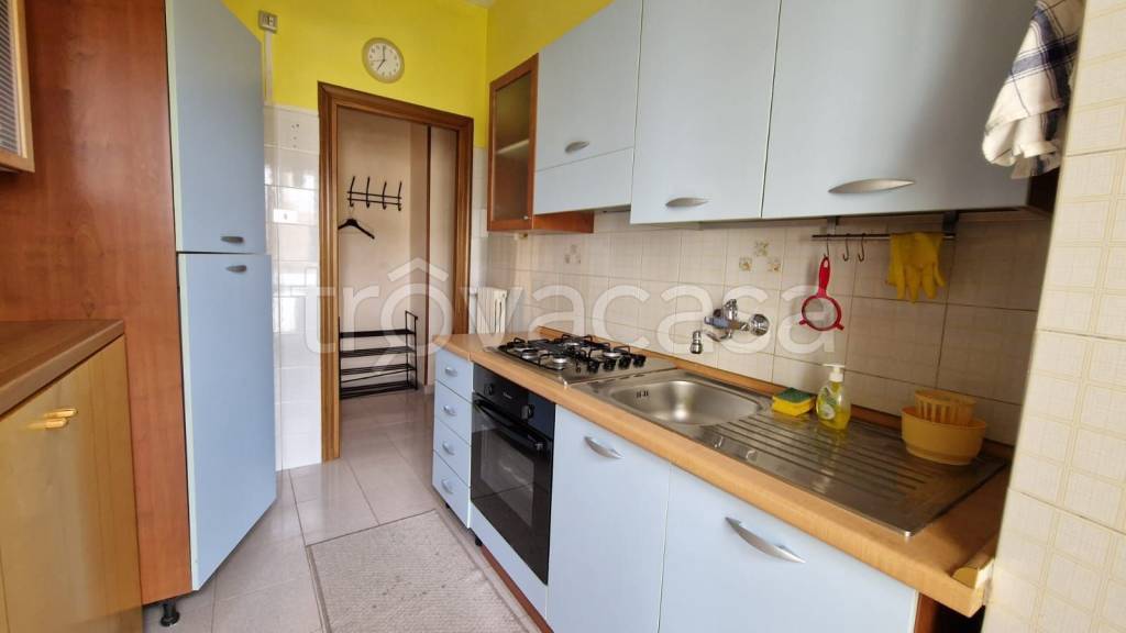 appartamento in affitto a Campobasso