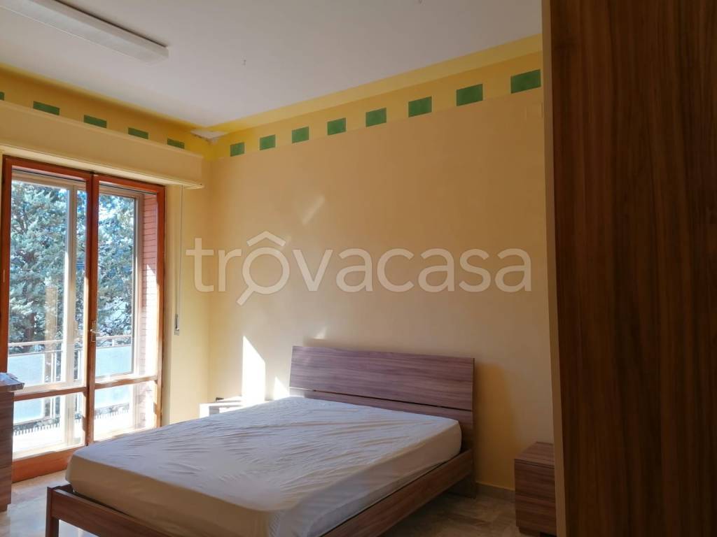appartamento in affitto a Campobasso