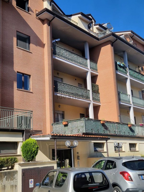 appartamento in affitto a Campobasso