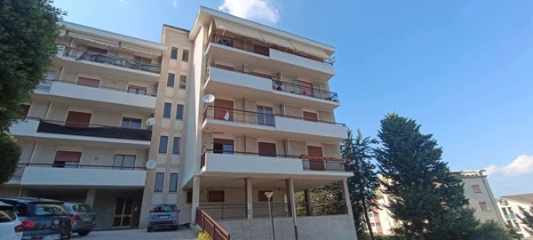 appartamento in affitto a Campobasso