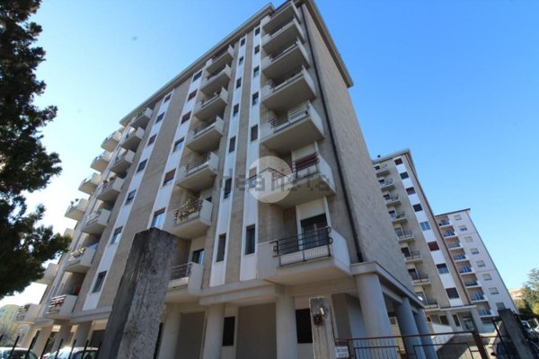 appartamento in affitto a Campobasso