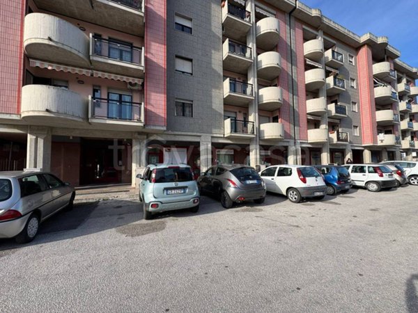 negozio in affitto a Campobasso