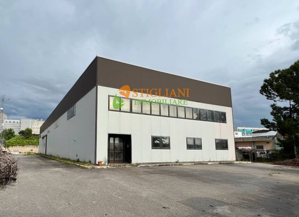 casa indipendente in affitto a Campobasso