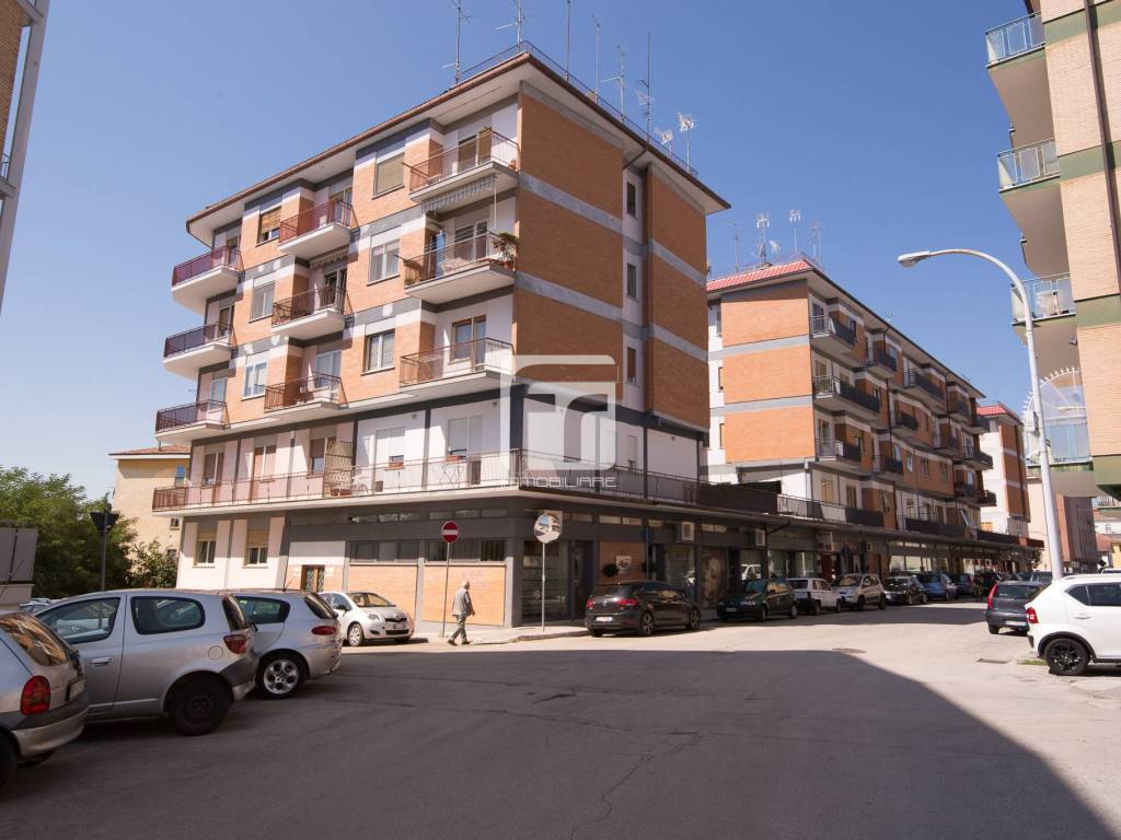 appartamento in affitto a Campobasso