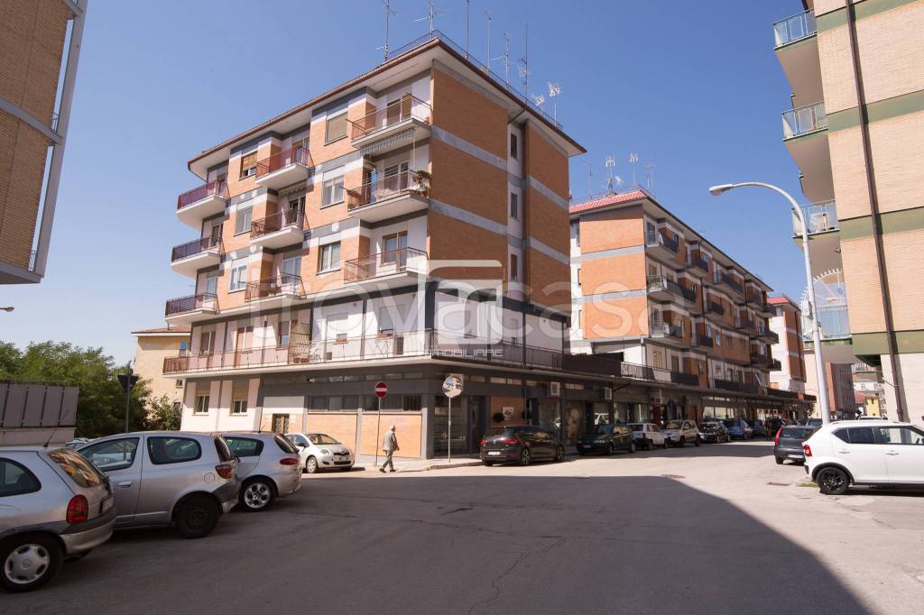 appartamento in affitto a Campobasso