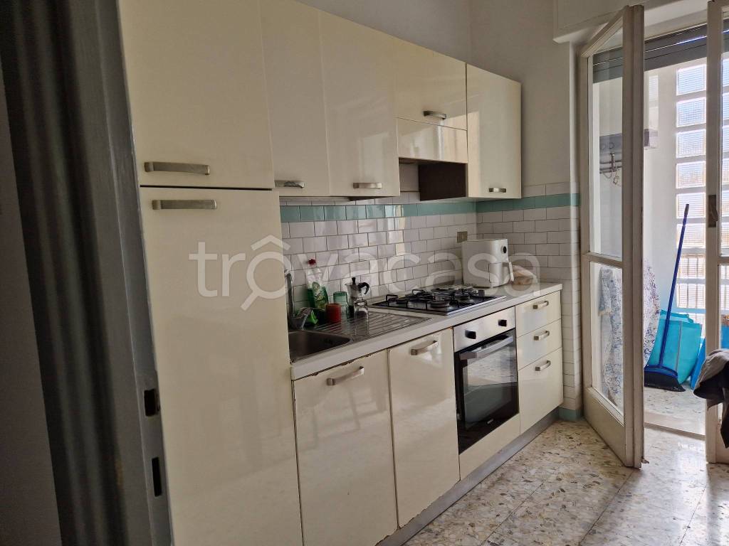 appartamento in affitto a Campobasso