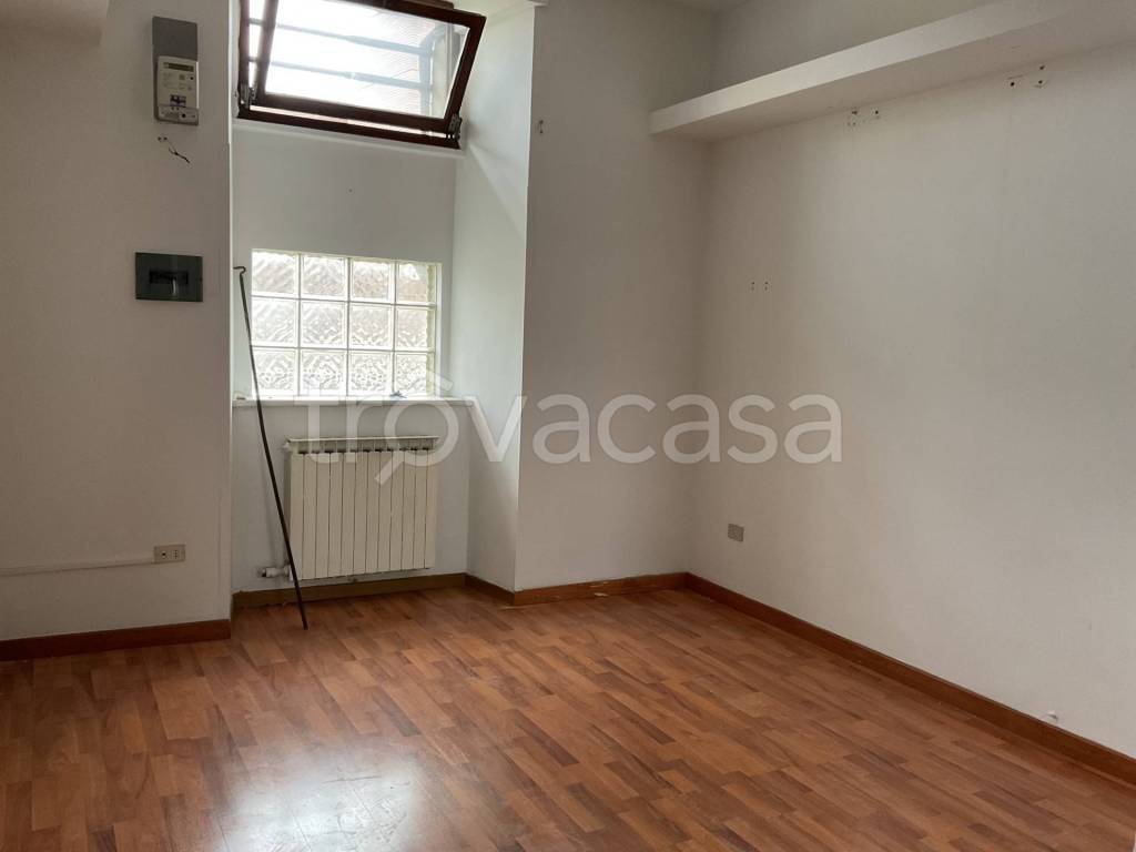 negozio in affitto a Campobasso