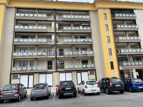 appartamento in affitto a Campobasso