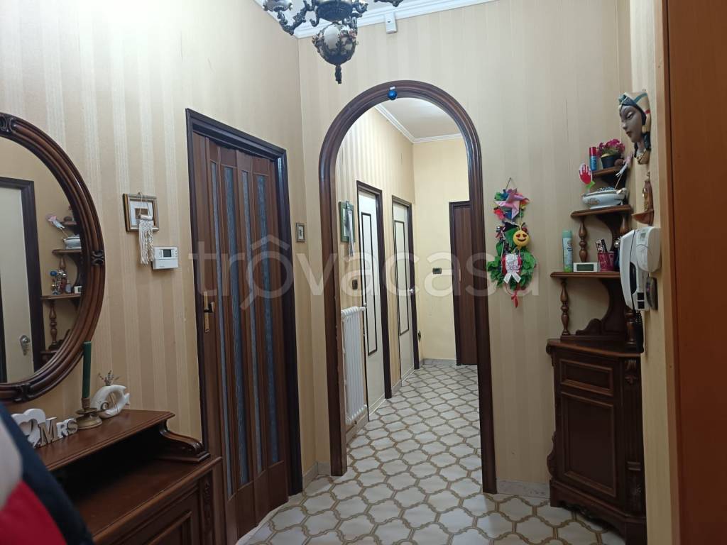 appartamento in affitto a Campobasso