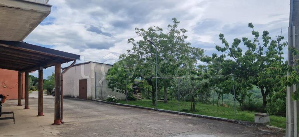 appartamento in affitto a Campobasso in zona Mascione