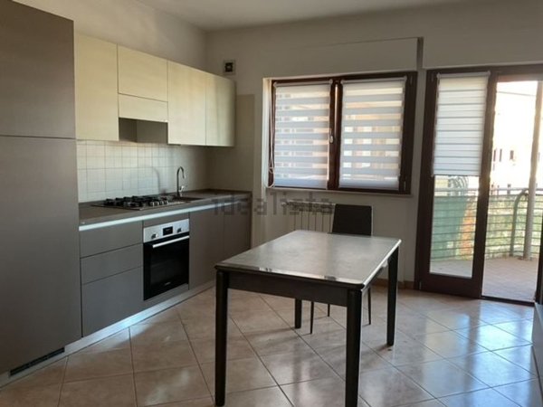 appartamento in affitto a Campobasso
