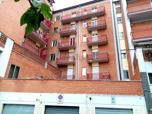 appartamento in affitto a Campobasso