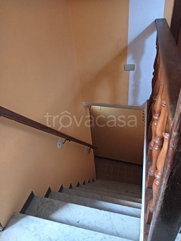 appartamento in affitto a Campobasso