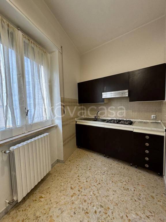 appartamento in affitto a Campobasso