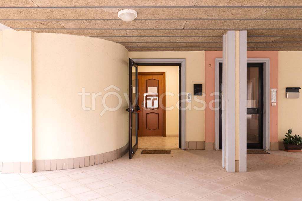 appartamento in affitto a Campobasso