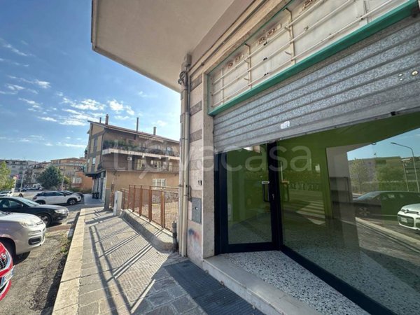 negozio in affitto a Campobasso