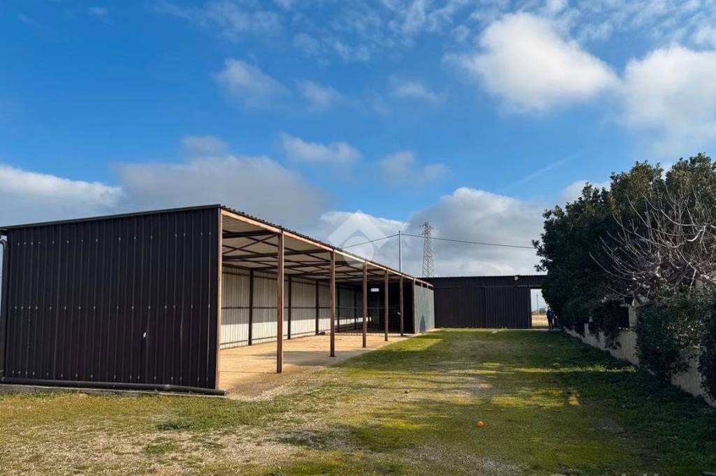 capannone in affitto a Campomarino