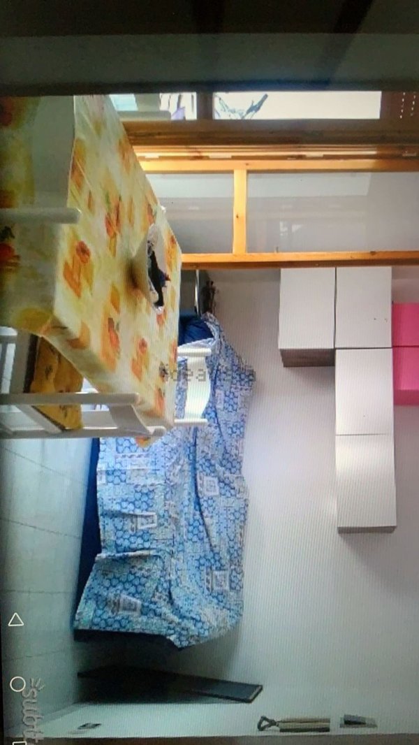 appartamento in affitto a Campomarino