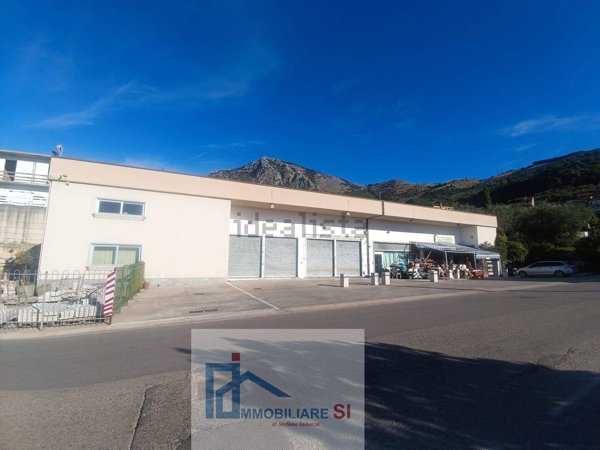 locale commerciale in affitto a Roccavivara