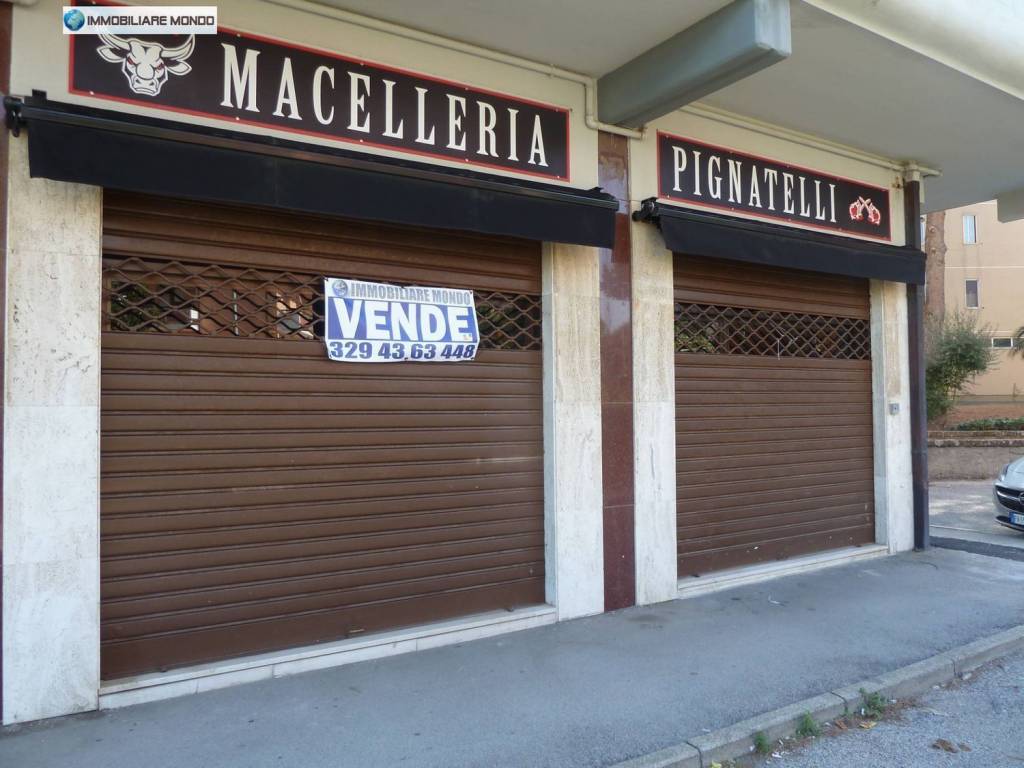 negozio in affitto a Termoli