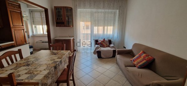 appartamento in affitto a Termoli