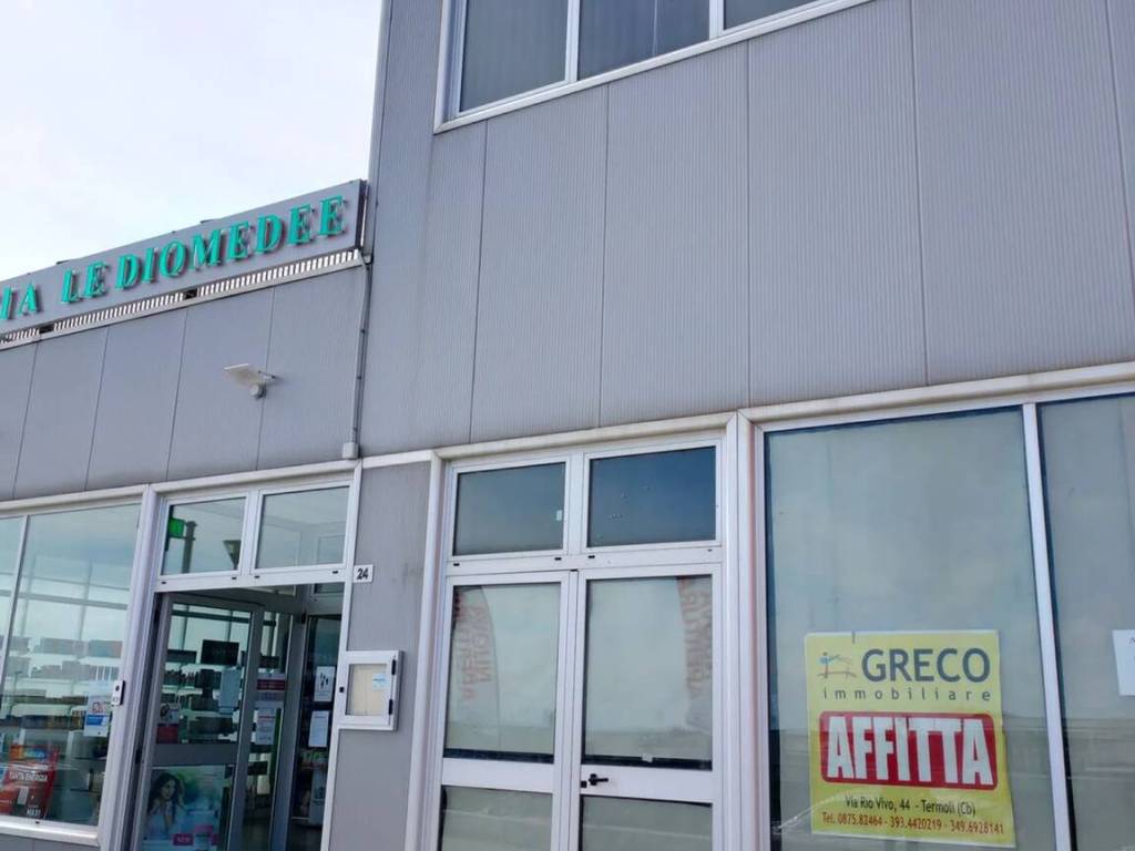 negozio in affitto a Termoli