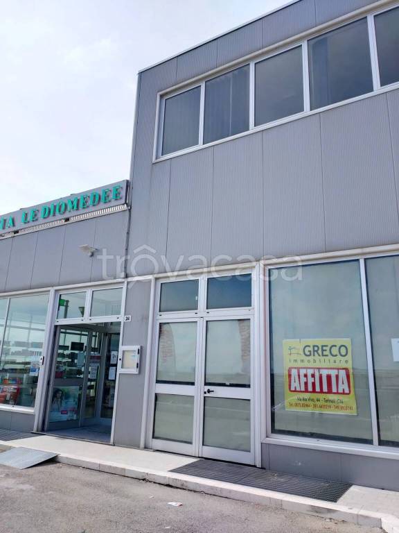 negozio in affitto a Termoli