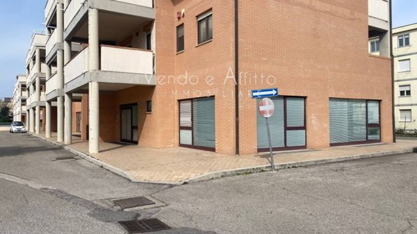 negozio in affitto a Termoli