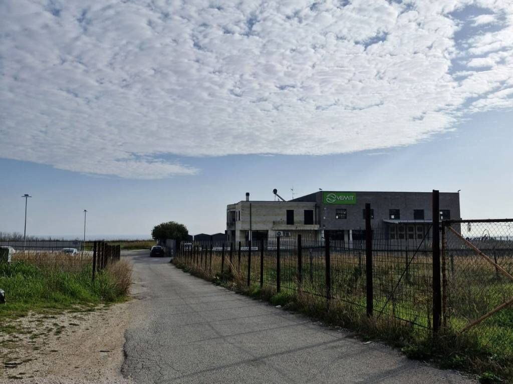 ufficio in affitto a Termoli