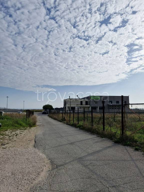 ufficio in affitto a Termoli