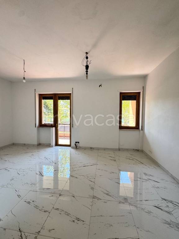appartamento in affitto a Termoli