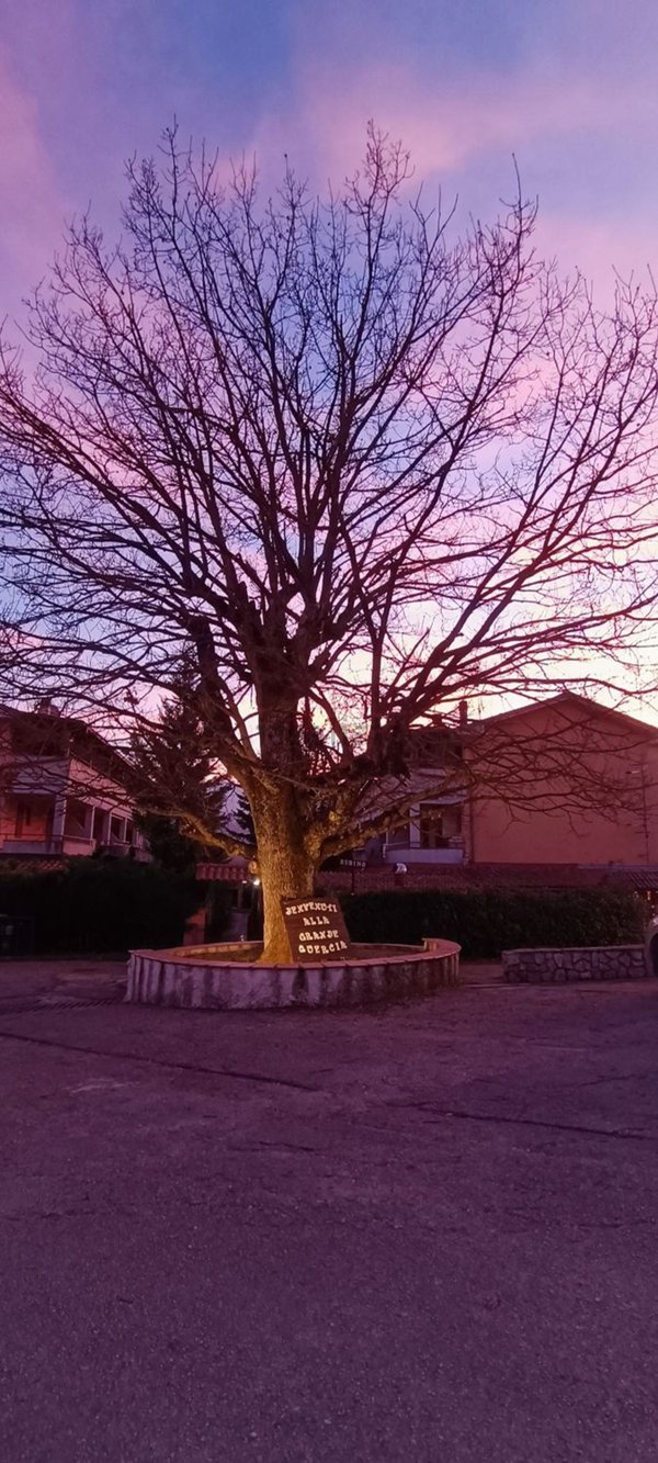 appartamento in affitto a Vinchiaturo