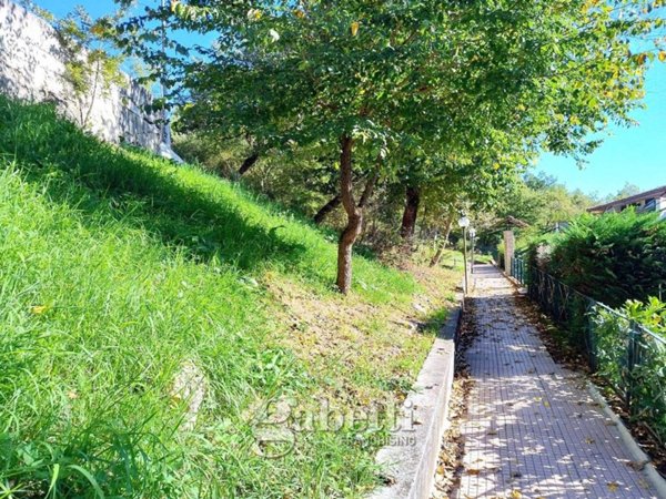 appartamento in affitto a Vinchiaturo