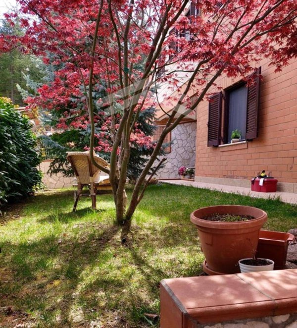 appartamento in affitto a Vinchiaturo