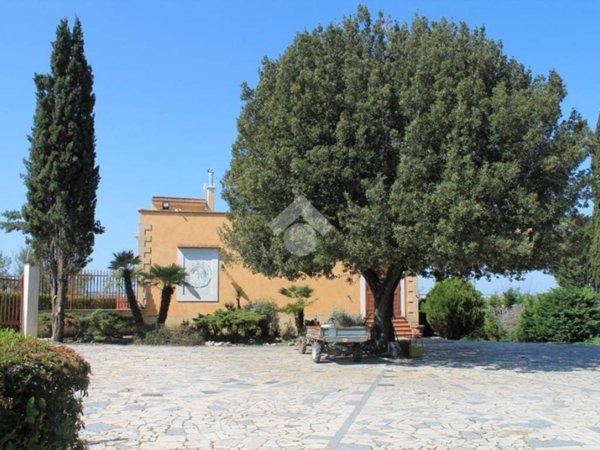 negozio in affitto a Cerignola