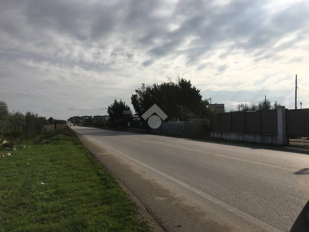 negozio in affitto a Cerignola