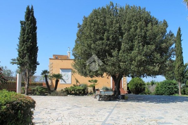 casa indipendente in affitto a Cerignola