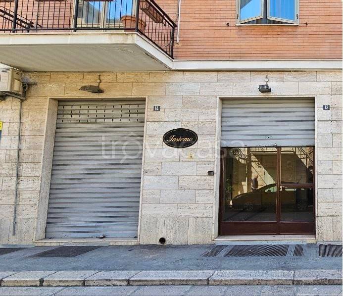 monolocale in affitto a Cerignola