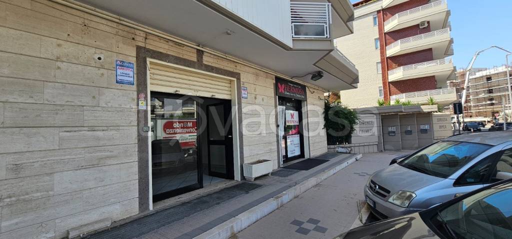 monolocale in affitto a Cerignola