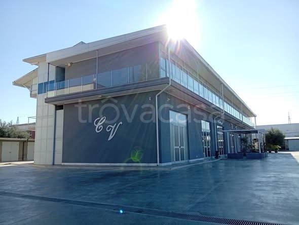 negozio in affitto a Cerignola