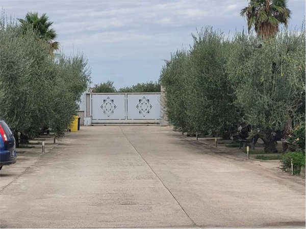 negozio in affitto a Cerignola