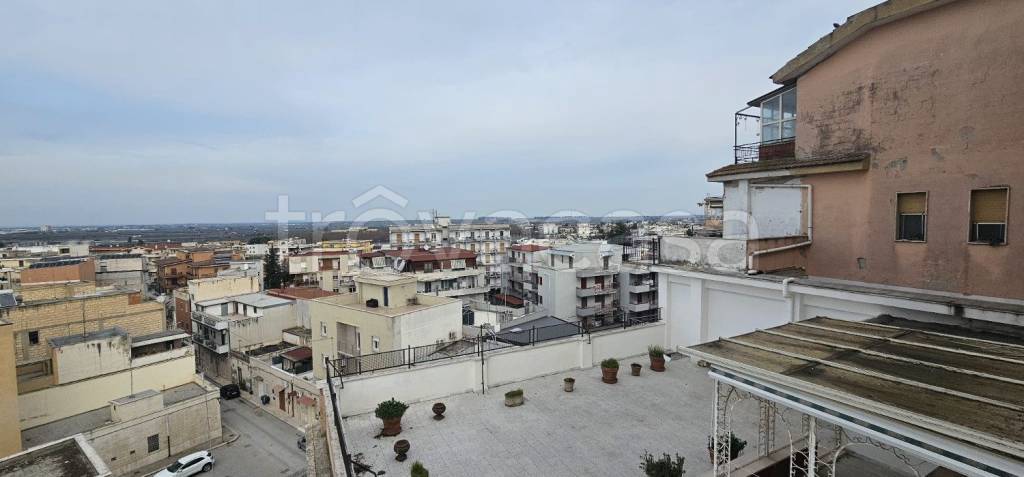 appartamento in affitto a Cerignola