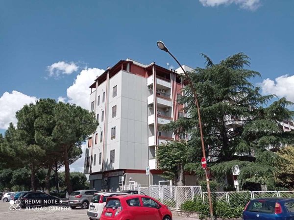 appartamento in affitto a Foggia