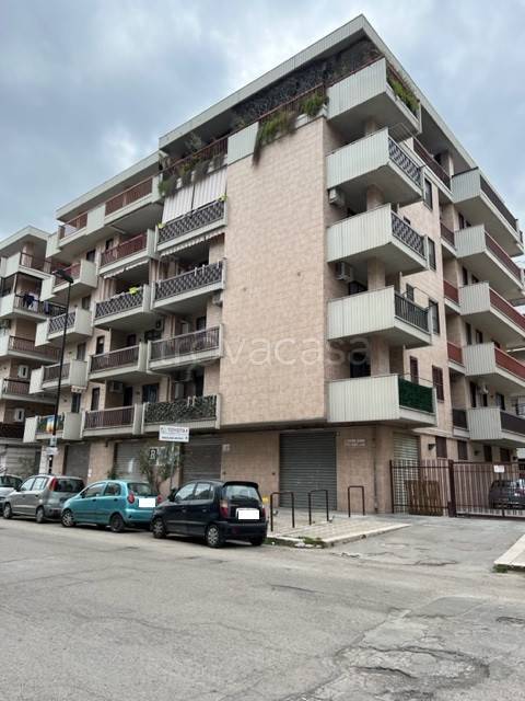 appartamento in affitto a Foggia in zona Candelaro