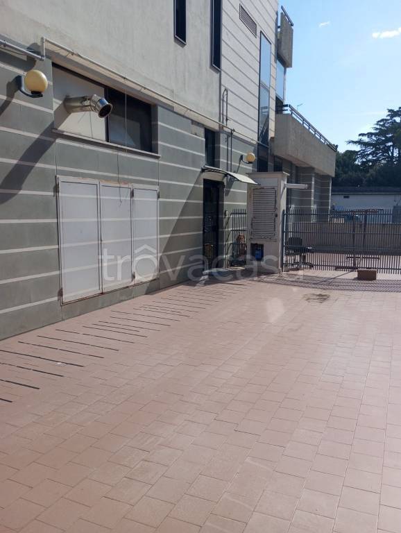 negozio in affitto a Foggia in zona San Ciro