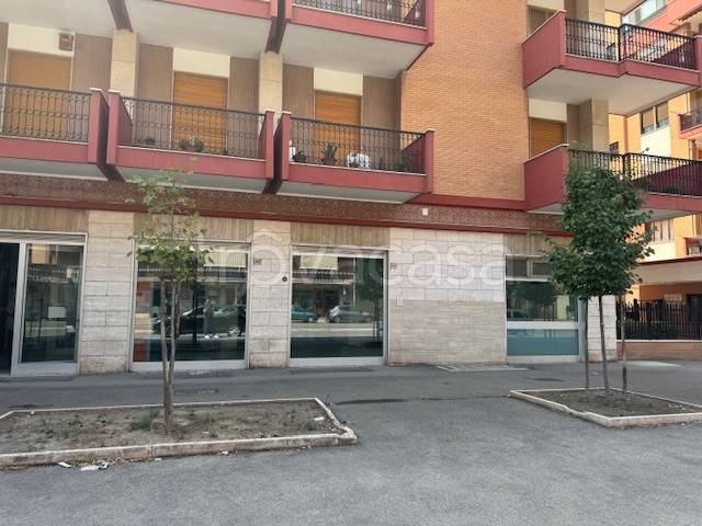 appartamento in affitto a Foggia in zona Macchia Gialla