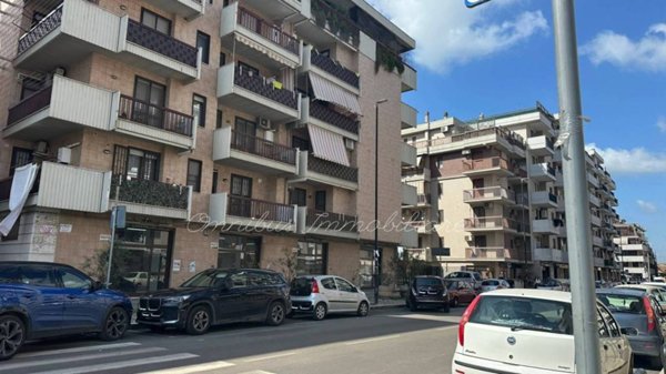 quadrivano in affitto a Foggia in zona Candelaro